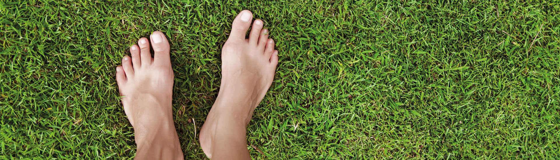 VP_Sus_foot_1920x550.jpg VP_Sus_foot_1920x550.jpg